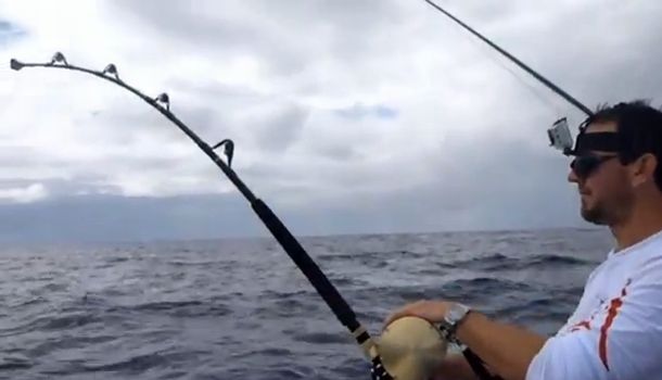VIDEO: Larva lures blue marlin action